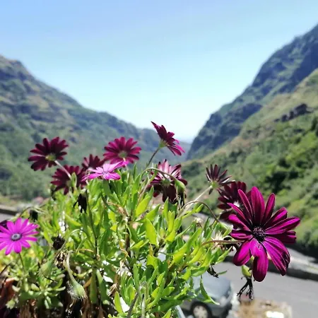 Semesterbostad Valley House Madeira Ribeira Brava