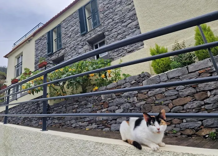 Dom wakacyjny Valley House Madeira